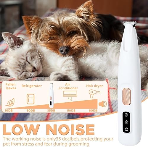 PawCare patitas mas limpias y seguras desde casa + Envió Gratis