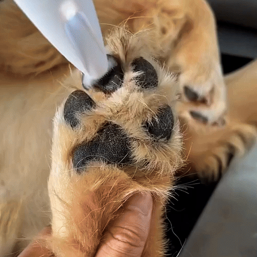 PawCare patitas mas limpias y seguras desde casa + Envió Gratis